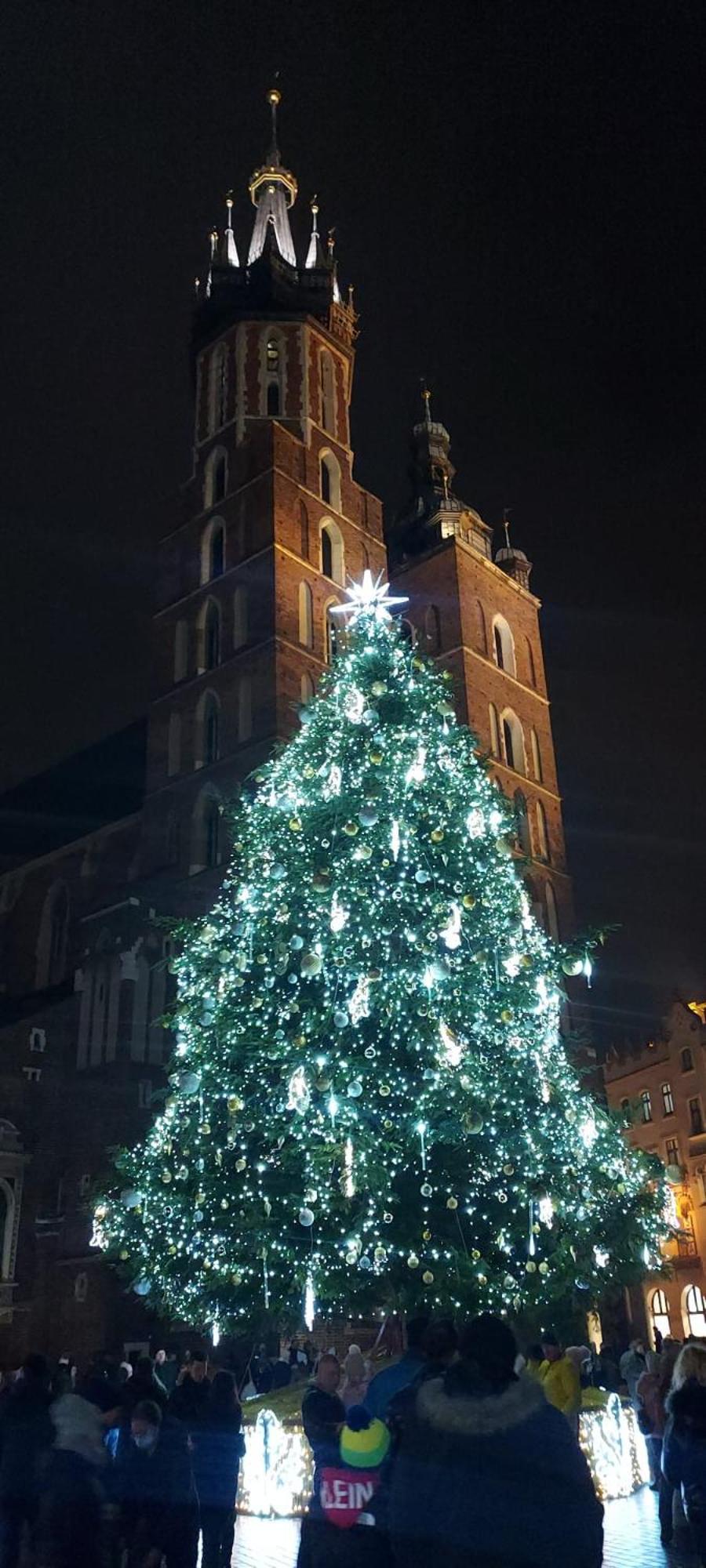 Dom Z Ogrodem W Krakowie Villa *